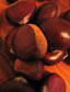 Chestnuts3.jpg