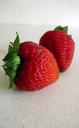 strawberrycustardpies-berries.jpg